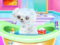 image bg My New Poodle Friend