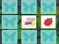 image bg Kids Memory - Insects