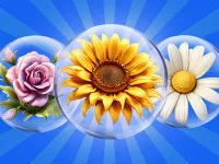 image bg Dice Puzzle Flowers!